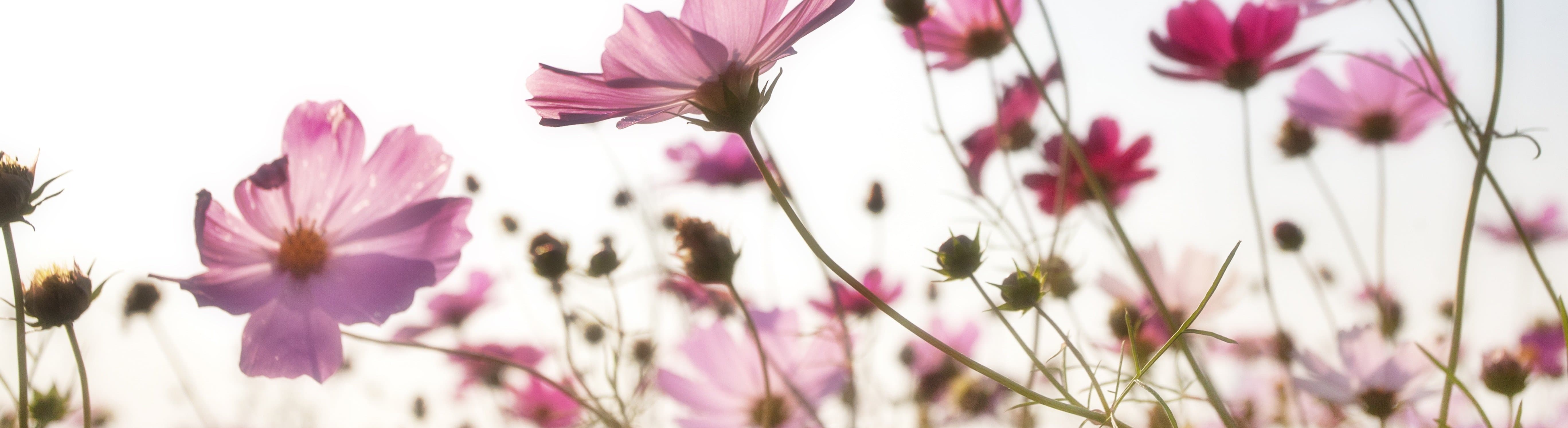 Capio Läkargruppen Företagshälsovård