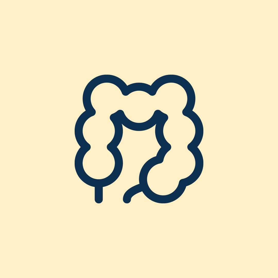 Illustration på en tarm Illustration på en tarm