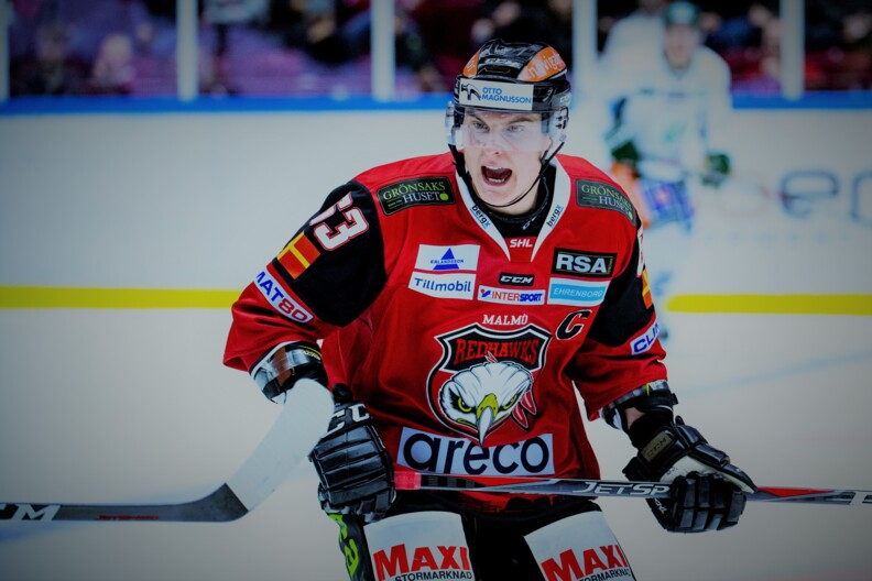 Hockeyspelare Idrottssektionen slutbild 2.jpg