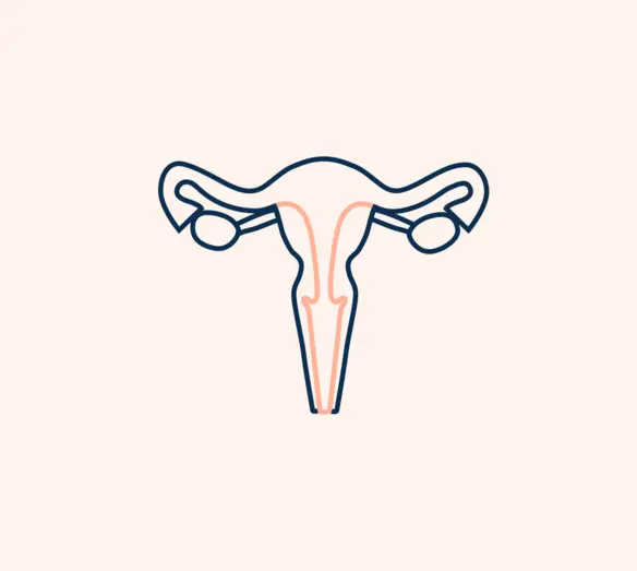 illustration livmoder illustration livmoder