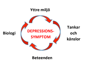 Ordbild. I mitten "Depressionssymptom". Ovanf&ouml;r orden "Yttre milj&ouml;" med en pil som riktar ner mot h&ouml;ger och "Tankar och k&auml;nslor". H&auml;r g&aring;r en pil vidare ner mot "Beteenden". H&auml;rifr&aring;n g&aring;r pil upp mot "Biologi" med en pil tillbaka mot "Yttre milj&ouml;".