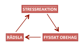 "Stressreaktion" i text, en pil pekar nedåt mot "Fysiskt obehag". Pil går därifrån mot vänster till "Rädsla". Därifrån går pil tillbaka upp mot "Stressreaktion".